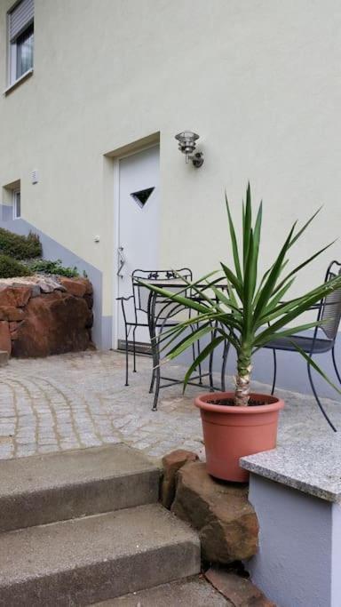 Ferienwohnung Talblick Im Schwarzwald Seelbach  Kültér fotó