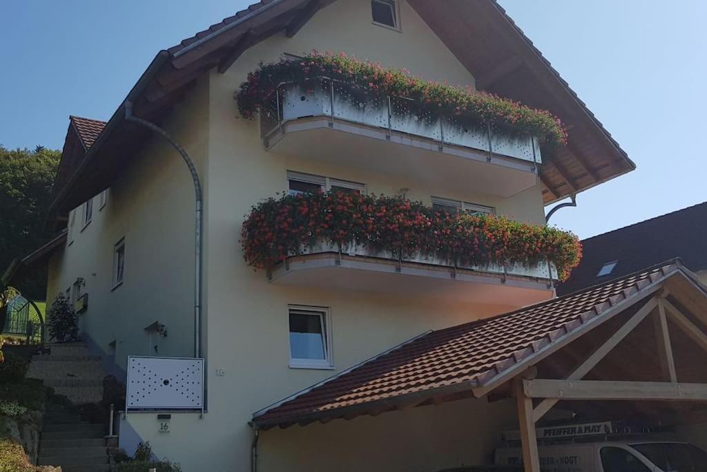 Ferienwohnung Talblick Im Schwarzwald Seelbach  Kültér fotó