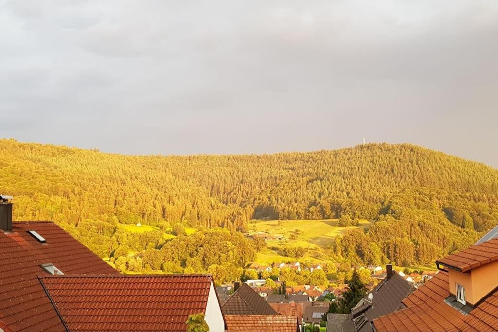 Ferienwohnung Talblick Im Schwarzwald Seelbach  Kültér fotó