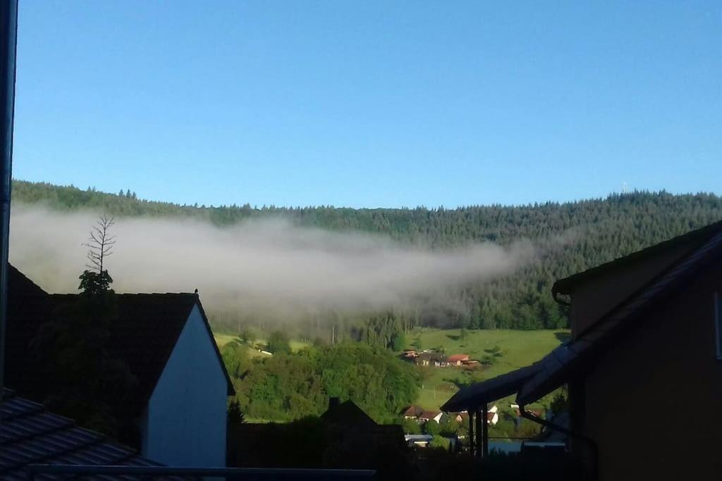 Ferienwohnung Talblick Im Schwarzwald Seelbach  Kültér fotó