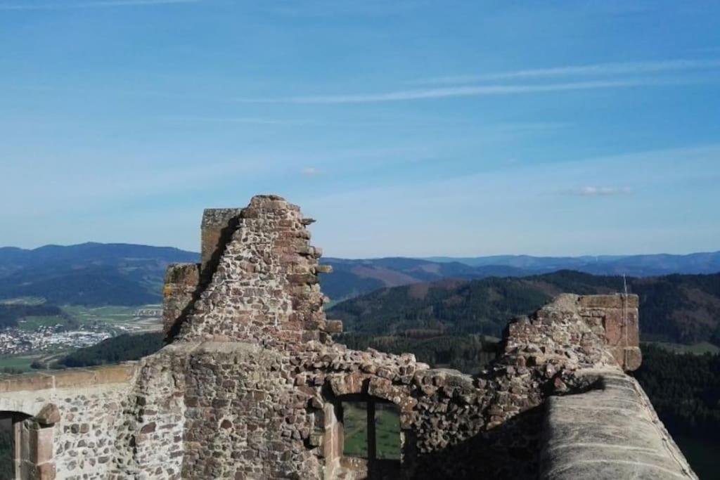 Ferienwohnung Talblick Im Schwarzwald Seelbach  Kültér fotó