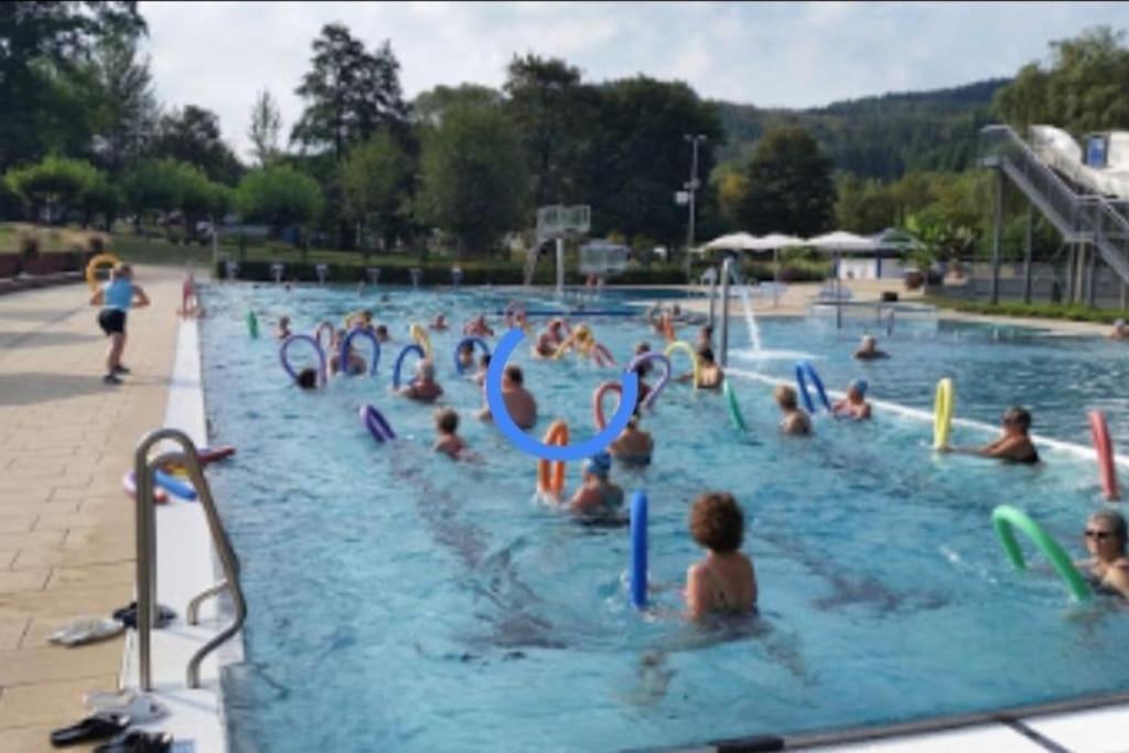 Ferienwohnung Talblick Im Schwarzwald Seelbach  Kültér fotó