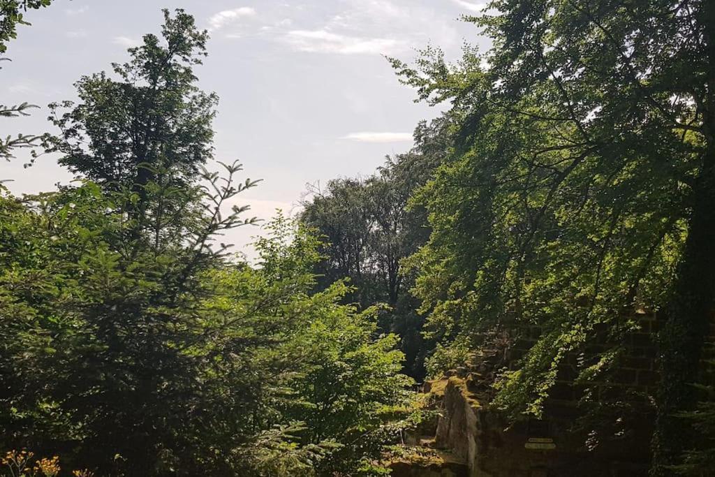 Ferienwohnung Talblick Im Schwarzwald Seelbach  Kültér fotó