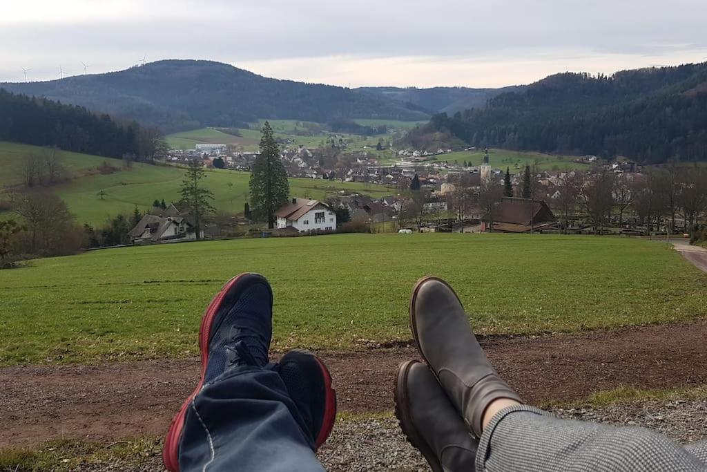 Ferienwohnung Talblick Im Schwarzwald Seelbach  Kültér fotó