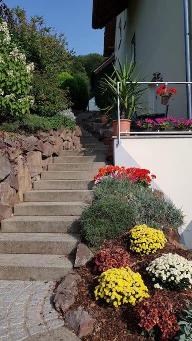Ferienwohnung Talblick Im Schwarzwald Seelbach  Kültér fotó