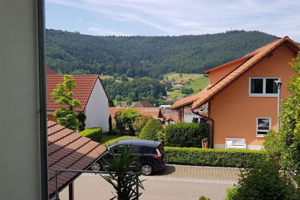 Ferienwohnung Talblick Im Schwarzwald Seelbach  Kültér fotó