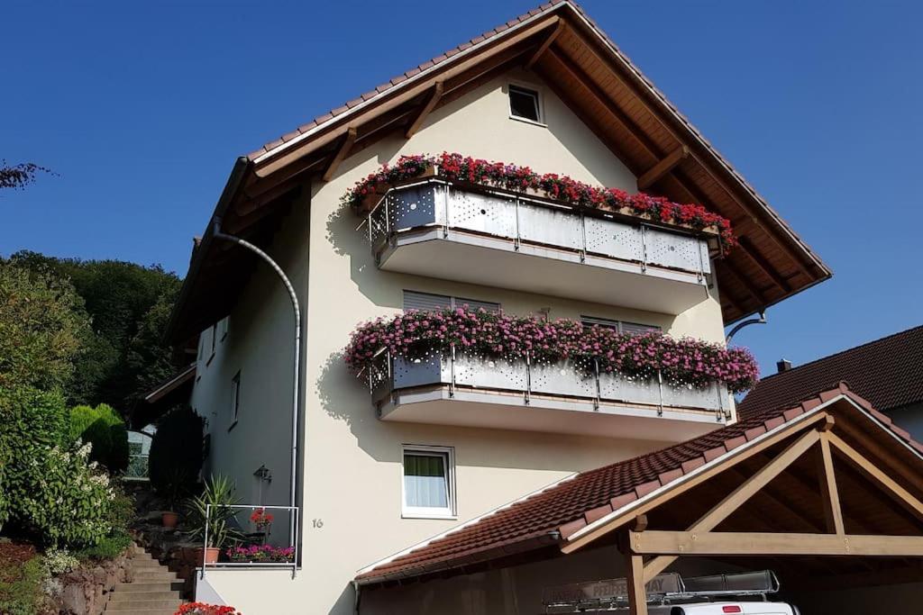 Ferienwohnung Talblick Im Schwarzwald Seelbach  Kültér fotó