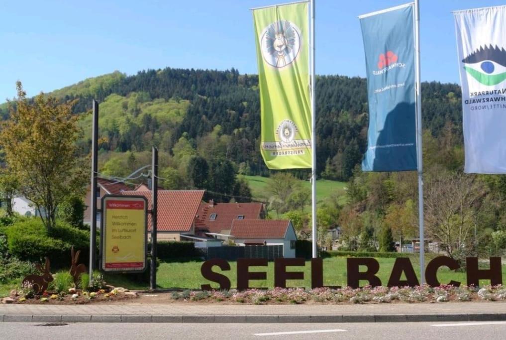 Ferienwohnung Talblick Im Schwarzwald Seelbach  Kültér fotó