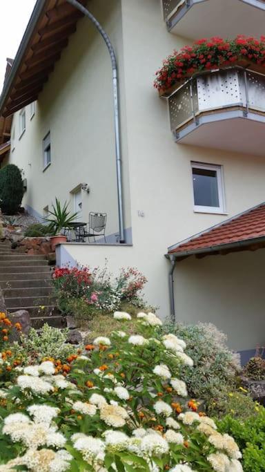 Ferienwohnung Talblick Im Schwarzwald Seelbach  Kültér fotó
