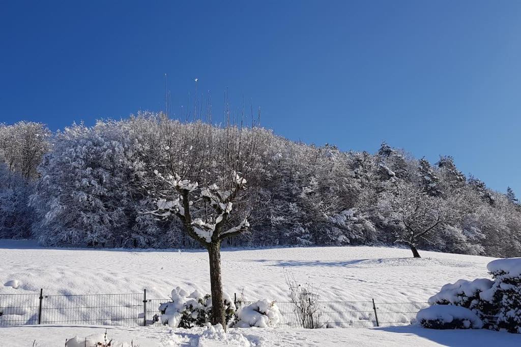 Ferienwohnung Talblick Im Schwarzwald Seelbach  Kültér fotó