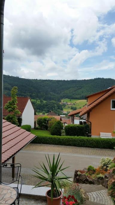 Ferienwohnung Talblick Im Schwarzwald Seelbach  Kültér fotó