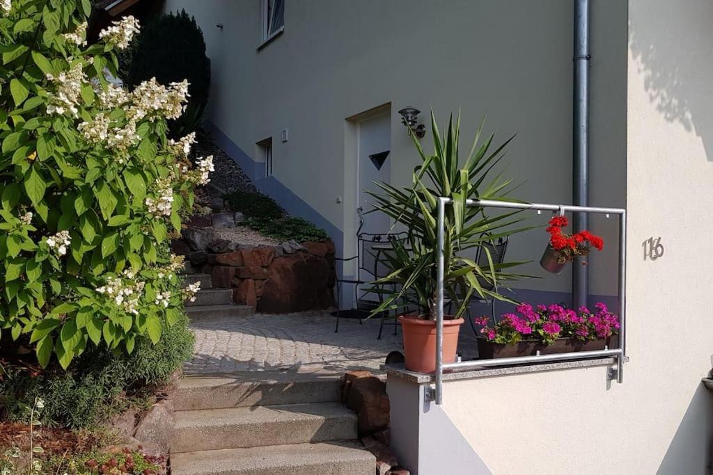 Ferienwohnung Talblick Im Schwarzwald Seelbach  Kültér fotó